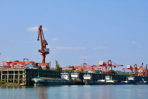 奮戰紅五月，瀘州水運吹響發展進軍號 碼頭建設與管理并舉，激活長江上游黃金水道