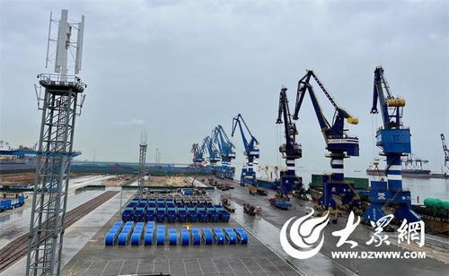探訪煙臺港“萬能”件雜貨碼頭 以綠色力量開啟國際物流新篇章