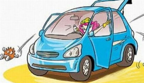 冬季汽車保養秘訣 清潔通風系統防過敏，讓愛車健康過冬