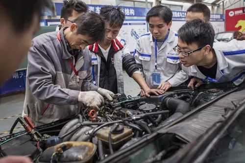 南寧市新手入門指南 機動車修理與維護工證考取全攻略